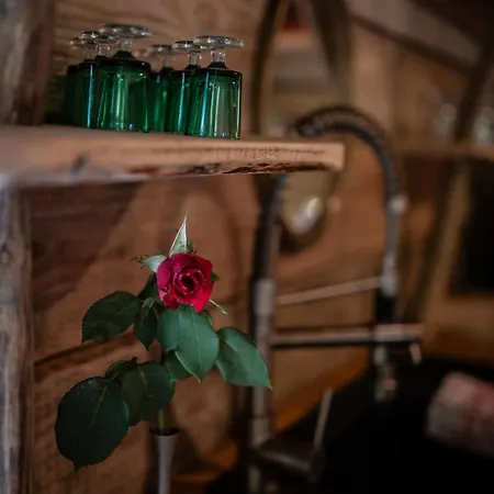 Tatil Evi Cevennes Spirit Coeur De Foret