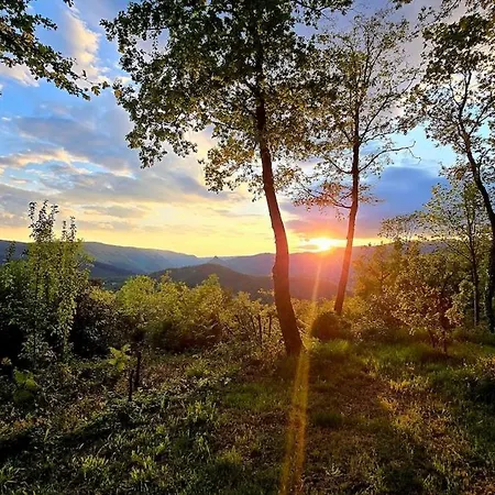 Cevennes Spirit Coeur De Foret Tatil Evi Roquedur